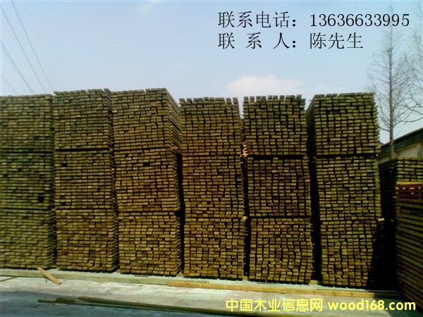 ��������ľ