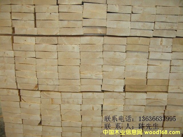 ����ɼ���