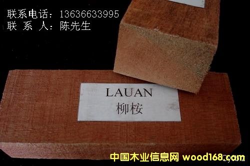 �����t����ľ