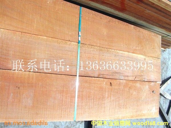 �������X�㣨��¡ľ��