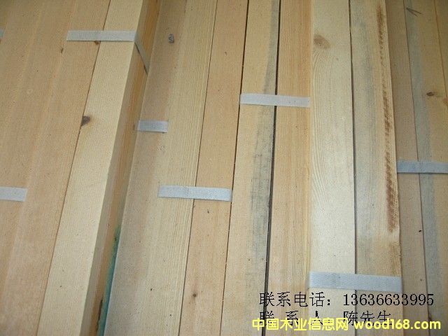 �������ɗl