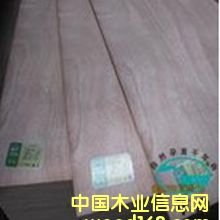 ��������о���Ӱ�E1��Ԕ����B