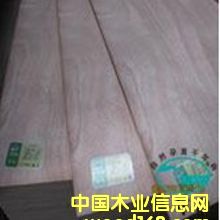 ��������о���Ӱ�E1