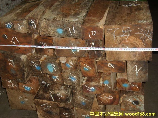 ΢���S̴䏰�ľ�ģ��t��֦ľ����Ԕ����B