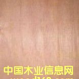 �W�����ΰ�