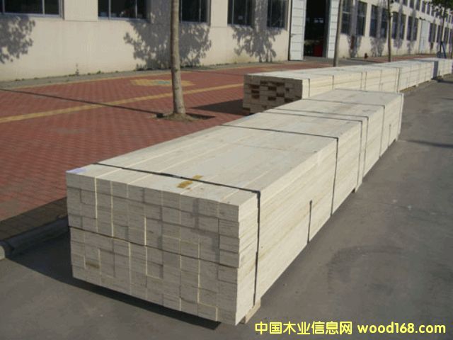 �c���鿴��ľLVL�Ŵ�DƬ