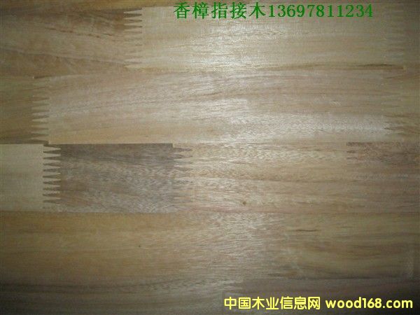 ����ָ��