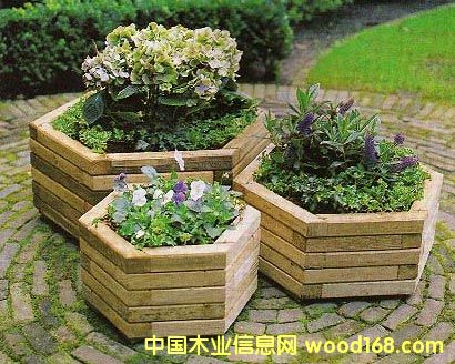 ����ľ��Ʒ-������Ԕ����B