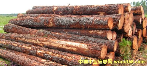 �Ϸ���ԭľ��Ԕ����B