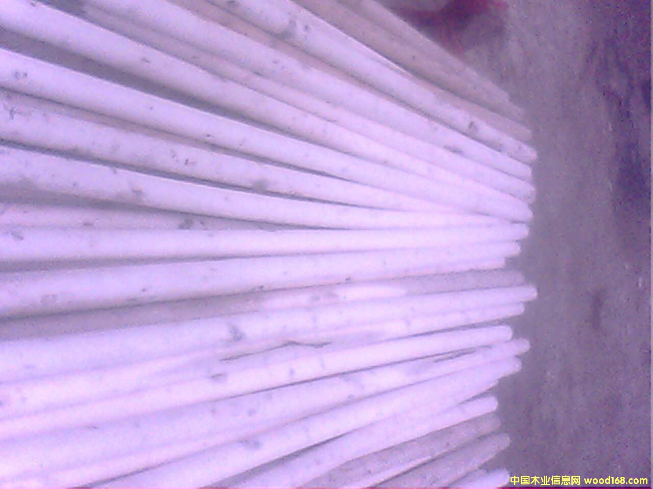 ��ľľ����Ԕ����B