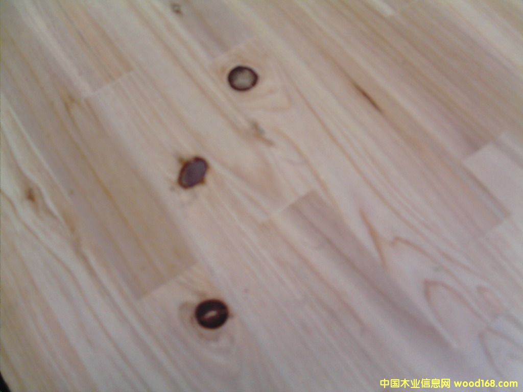 ָ�Ӱ��Ԕ����B