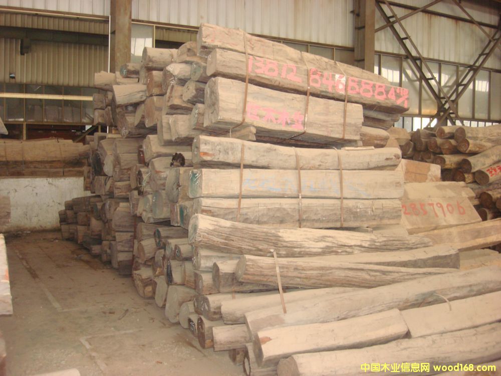 ��(y��u)�|(zh��) �ϓ��t��֦