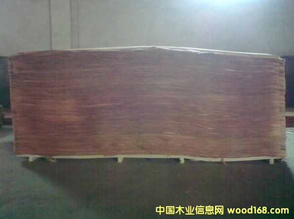 �һ�����Ƥ