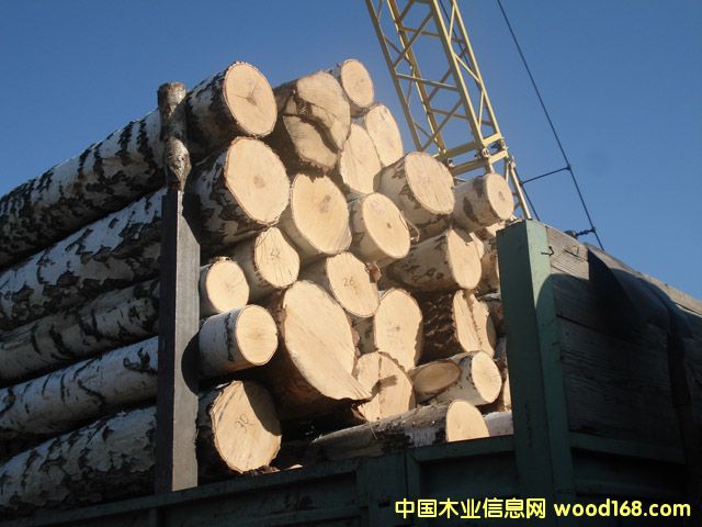 ���_˹�ט�4��Ԕ��(x��)��B