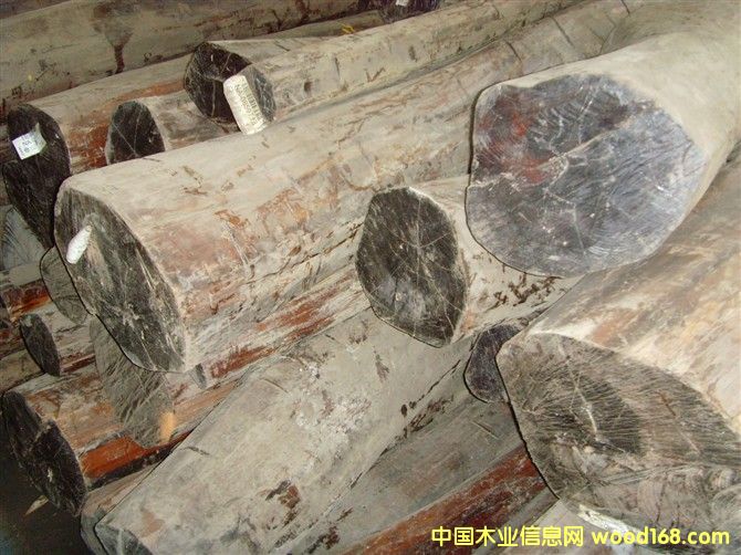 ��ľ��Ԕ����B