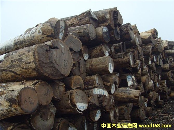 С�u���Ԕ����B