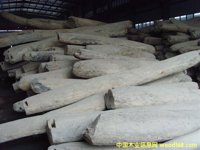 ����ľ��ԭľ����Ԕ����B