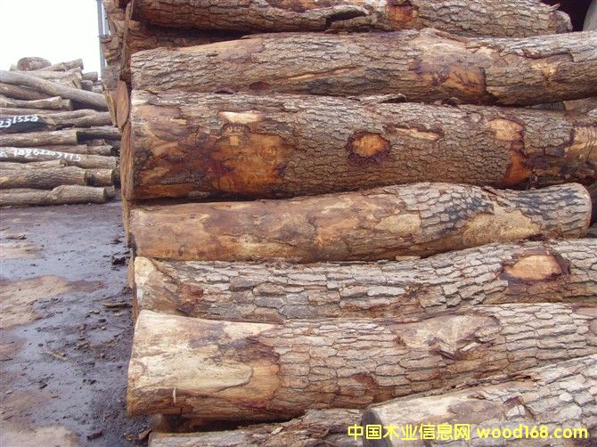 ���޻����Ԕ����B