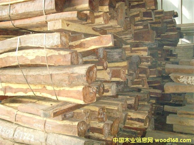 �t��֦��Ԕ����B