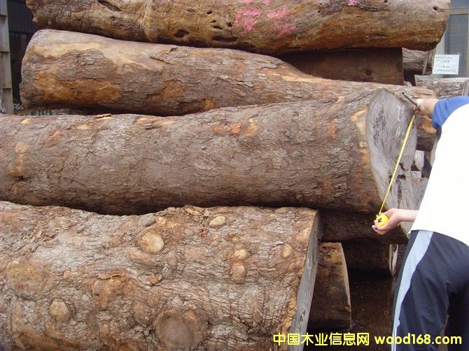 Ƥ�ң�����̴����Ԕ����B