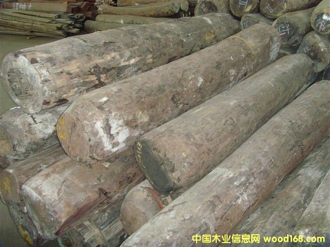 ���޴��~��̴��Ԕ����B