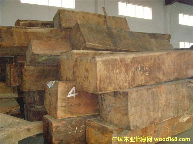 ����ľ�����ģ���Ԕ����B