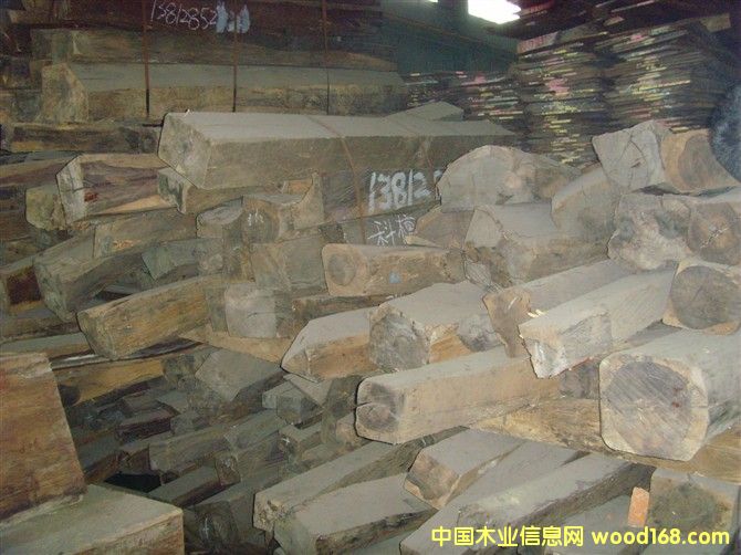 ��̴��Ԕ����B