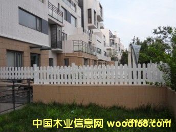 ����ľ����