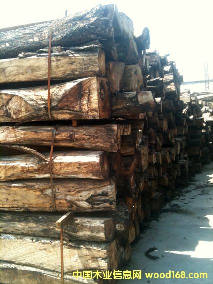 ���ށ����棨kisso��