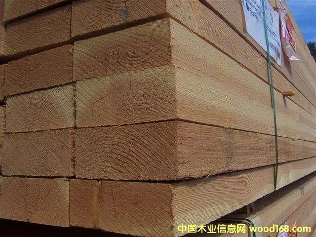 ���ô� ���� �M�� ������