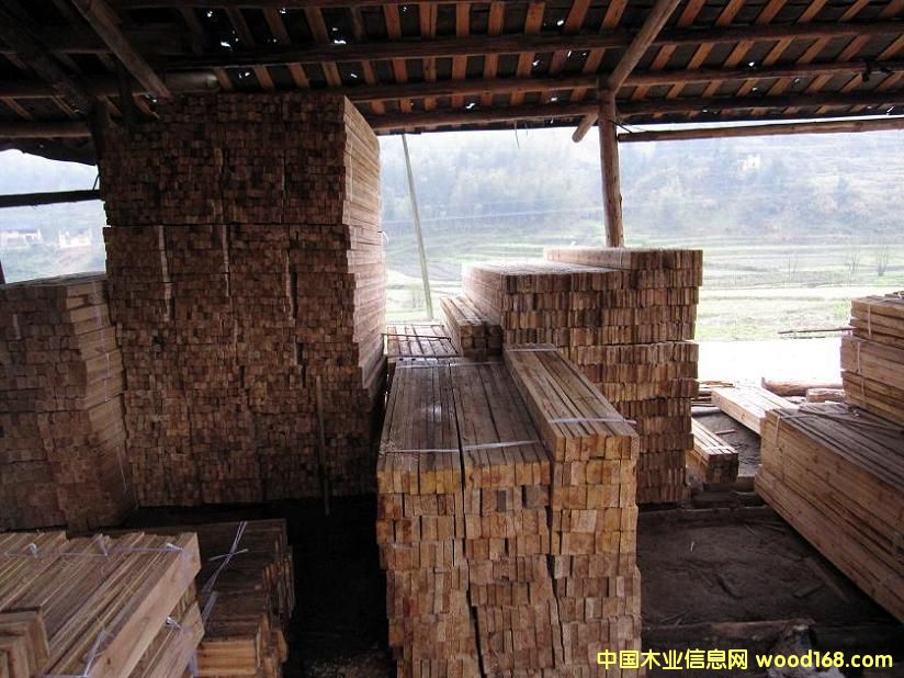 ľ����ľ�������