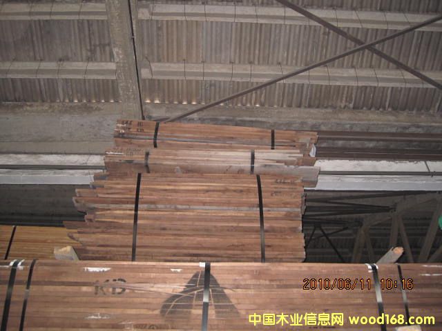 ���������ں���ľ black walnutľ���