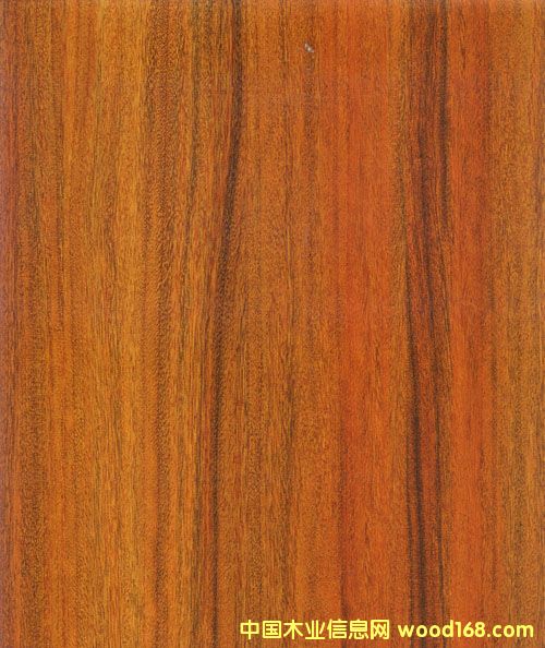 514��Ԕ����B