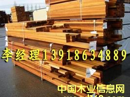 �tѩ�ɰ�ĵ�Ԕ����B