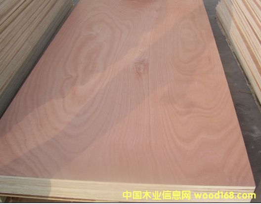 ɼľ��ľ����ɼľ��Ԕ����B