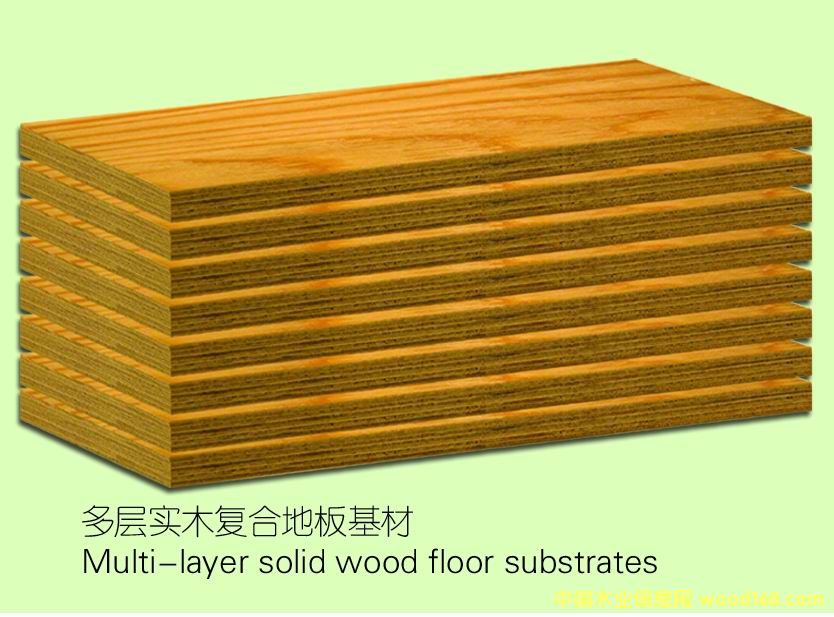 ���ӌ�ľ��ĵ�Ԕ��(x��)��B