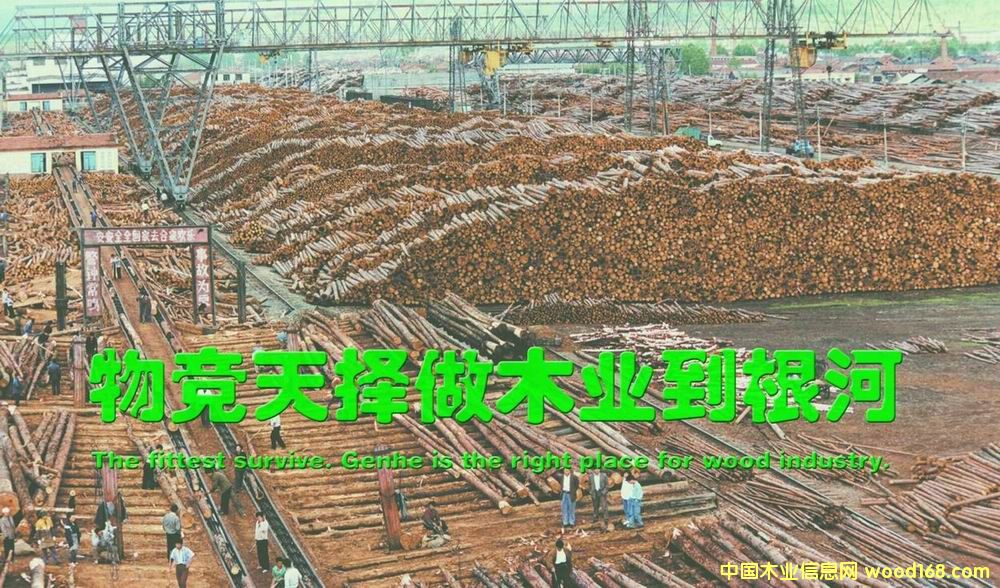 ԭľ؛����Ԕ��(x��)��B