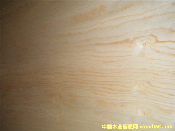 ��ľ��Ƥ��Ԕ����B