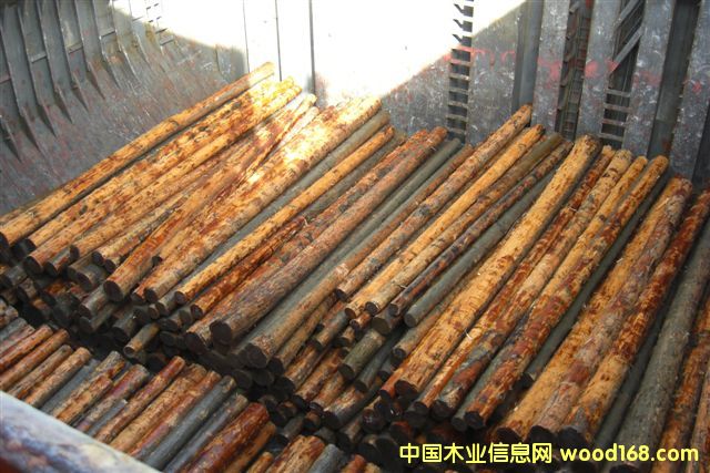 �����ɵ�Ԕ����B