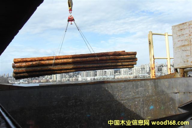 �����ɵ�Ԕ����B