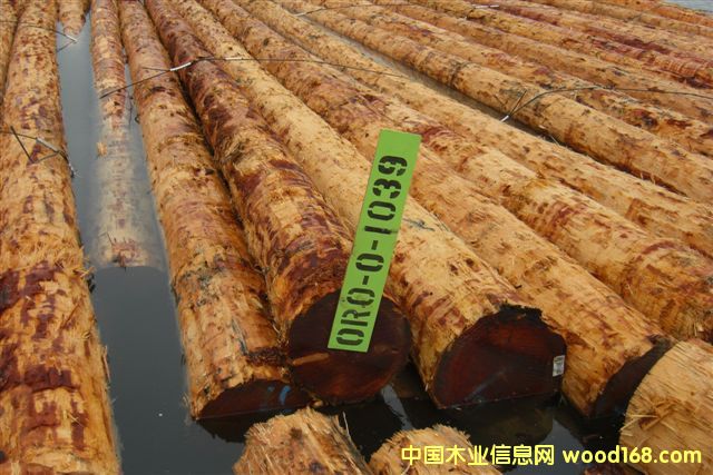 �����ɵ�Ԕ����B