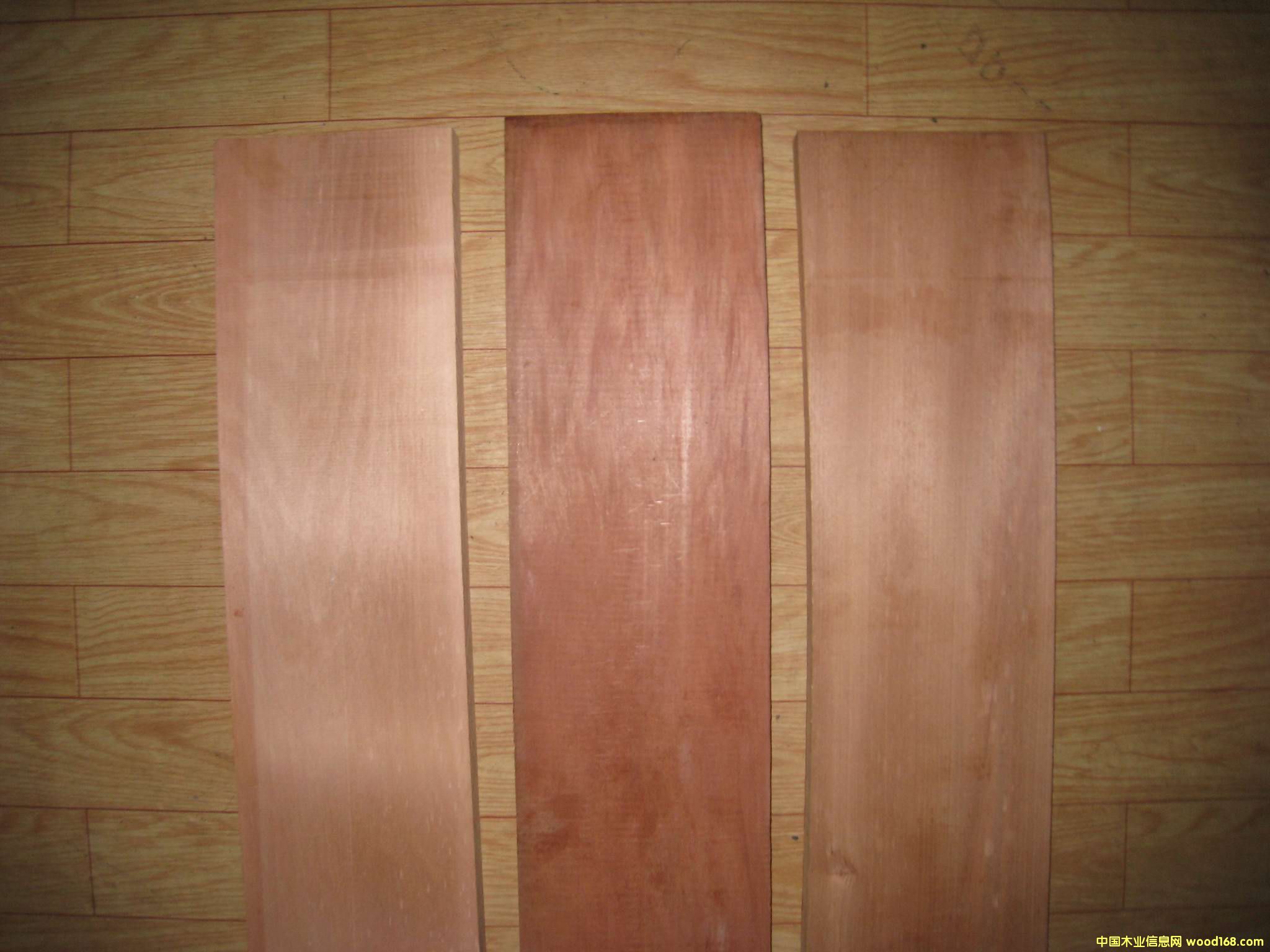 ������ľ�ذ����ϵ�Ԕ����B