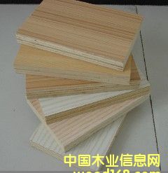 ����˹�����B��