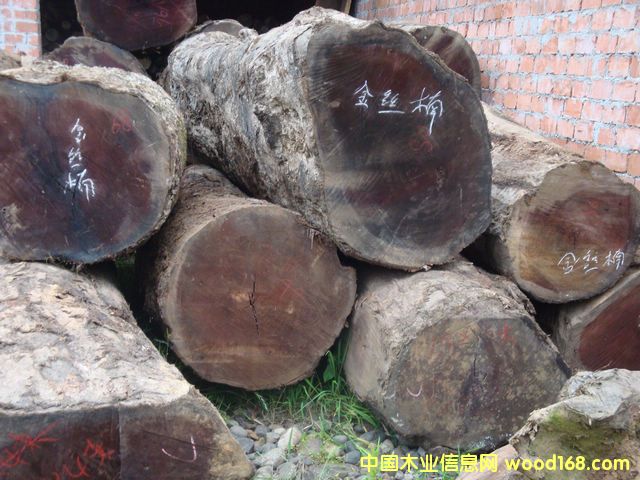 �c���鿴��z�ľԭľ�Ŵ�DƬ