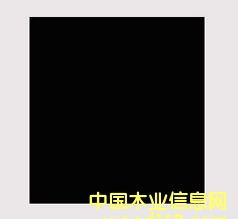 ��Ĥ����Ԕ����B