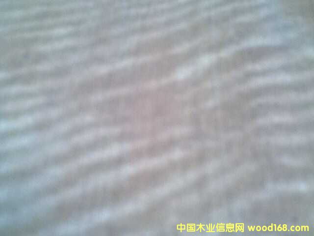 �Ź�Ӱ������