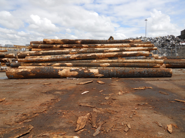 ���������ɵ�Ԕ��(x��)��B