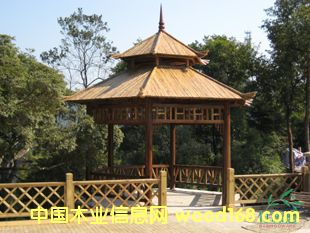 ����ľ��Ԕ����B