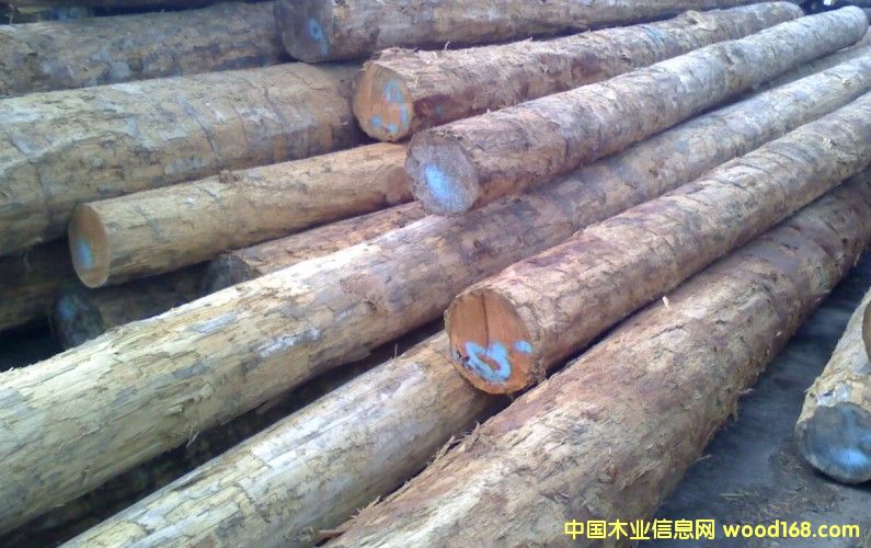 ���ô��|������ԭľ��Ԕ����B