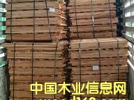 ̩�����zľ